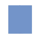 Photo ID Backdrop - LIGHT BLUE - All Things Identification