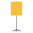 Portable Photo Backdrop Stand with Yellow Backdrop - All Things Identification