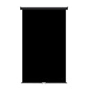 Retractable Photo Backdrop Black Casing, 48" x 84" - BLACK - All Things Identification