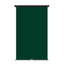 Retractable Photo Backdrop Black Casing,  48" x 84" - GREEN - All Things Identification